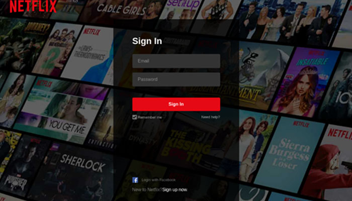Phishing page placed inside the “Netflix” directory and imitating the Netflix login form