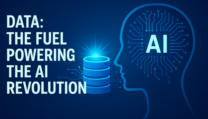 Data AI success quality